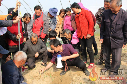 技术人员在芦笋大棚里向群众传授芦笋种植技术亚新体育(图1)