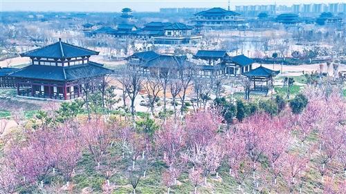 春色渐浓 这份赏花攻略请收好