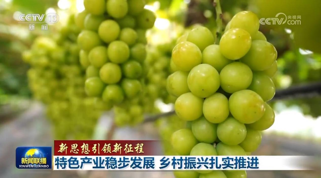 d1ad7fc41b9a8d385703e087b9a1bc0b_2024010109532372957.png d1ad7fc41b9a8d385703e087b9a1bc0b_2024010109532372957.png