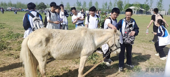 图片.png 图片.png