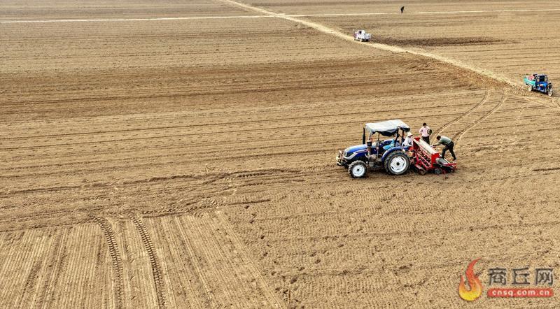 田畴染金产业旺：夏邑乡村振兴动能足