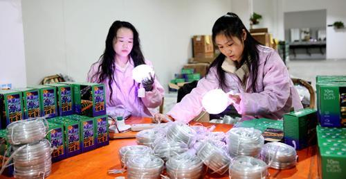 “小县城”何以撬动“大算力”“新光源”