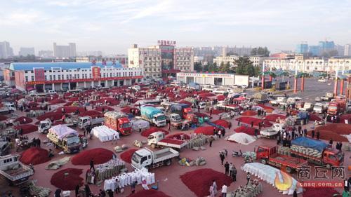 柘城：辣椒香满城 产业富百姓